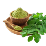 image removebg preview (45)