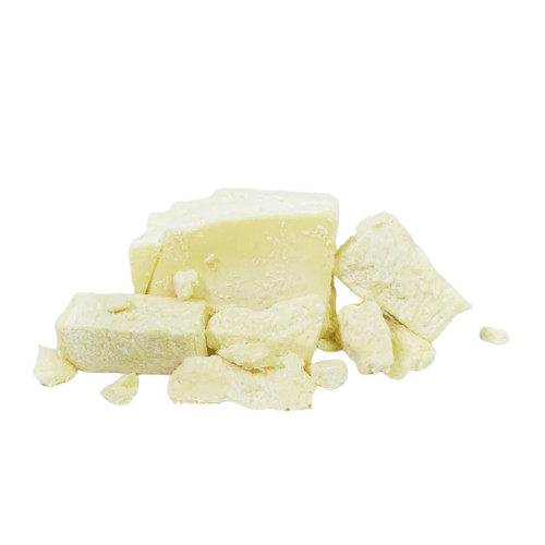 image removebg preview (16)